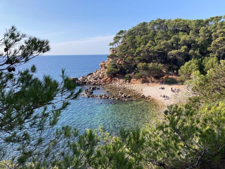 Bandol Roc Beach Vue Mer Grand T3 Face A La Plage Avec Parking Eksteriør bilde